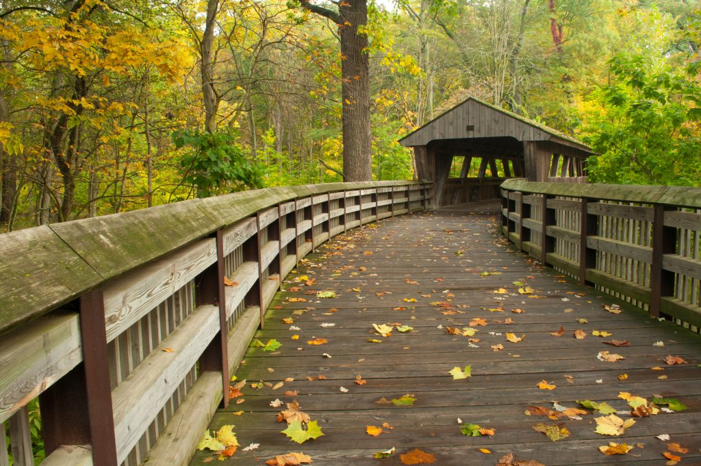 Wooden bridge over autumn forest
